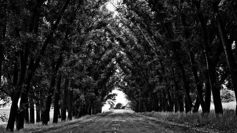 Featured image for Agntbox Com article