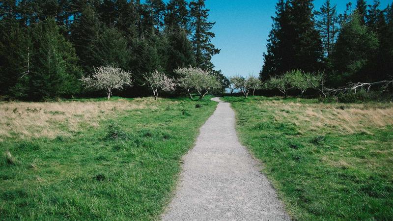 Featured image for Agntbox Com article