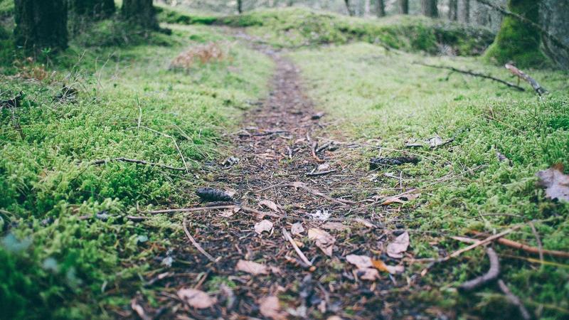 Featured image for Agntbox Com article