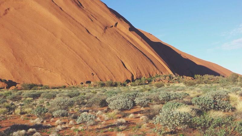 Featured image for Agntbox Com article