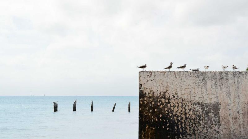 Featured image for Agntbox Com article