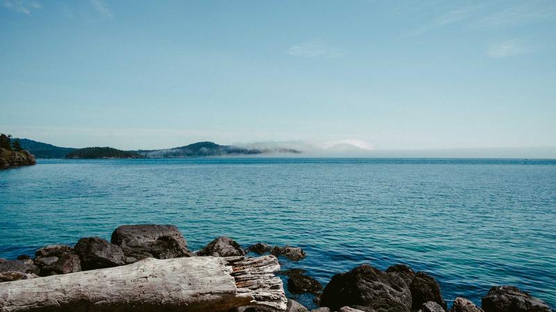 Featured image for Agntbox Com article