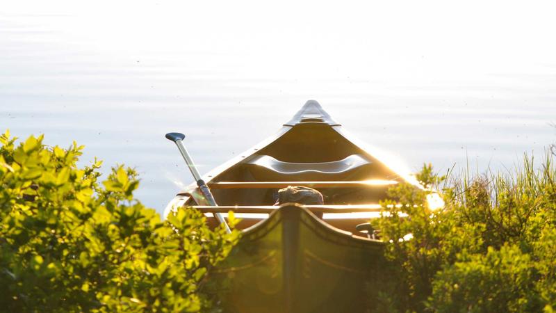 Featured image for Agntbox Com article