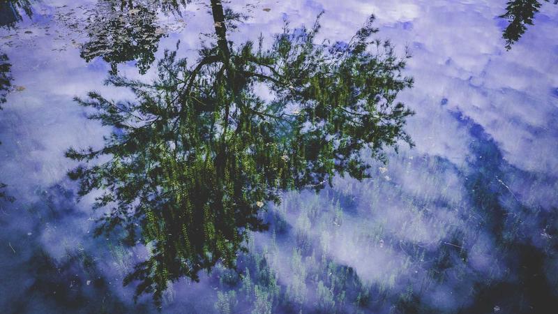 Featured image for Agntbox Com article