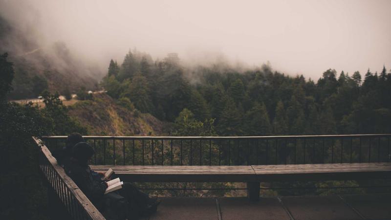 Featured image for Agntbox Com article