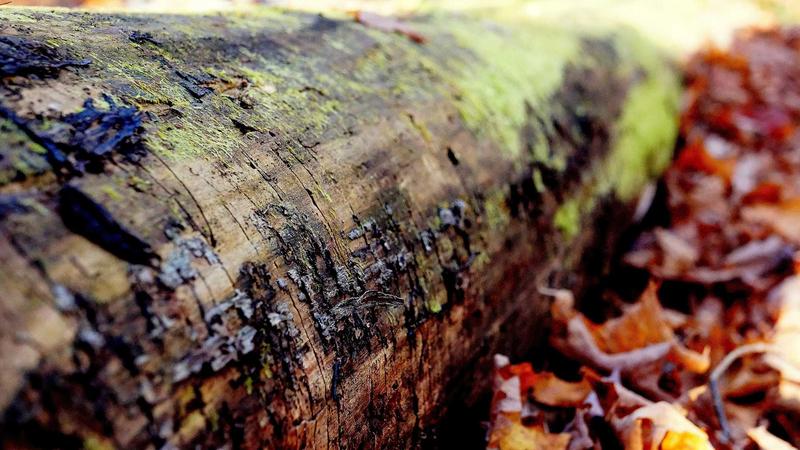 Featured image for Agntbox Com article