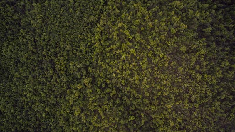 Featured image for Agntbox Com article