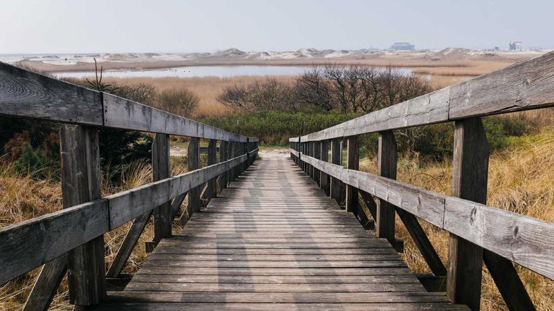 Featured image for Agntbox Com article