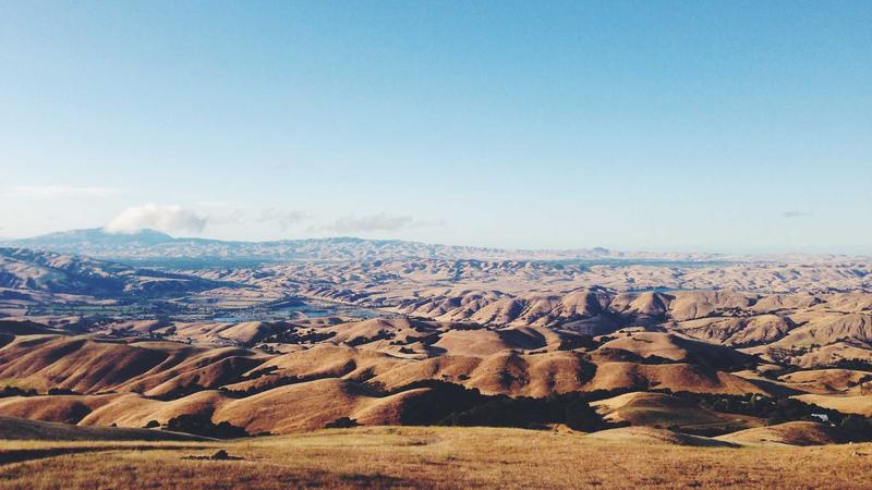 Featured image for Agntbox Com article