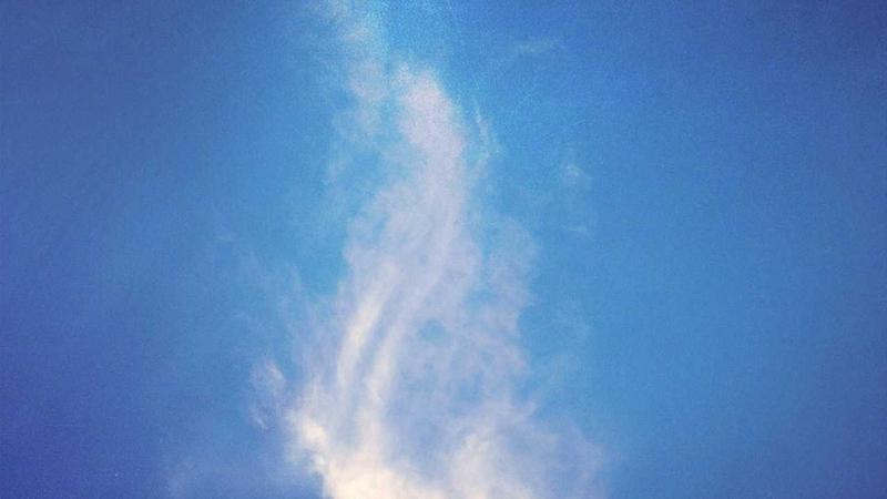 Featured image for Agntbox Com article