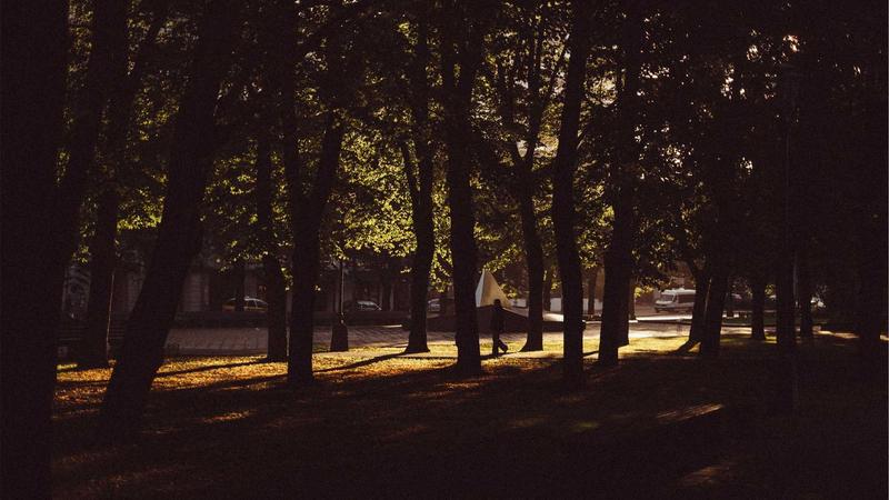 Featured image for Agntbox Com article