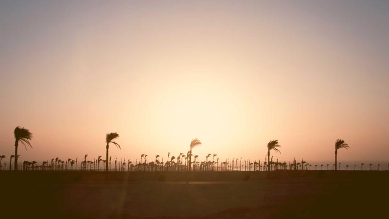 Featured image for Agntbox Com article