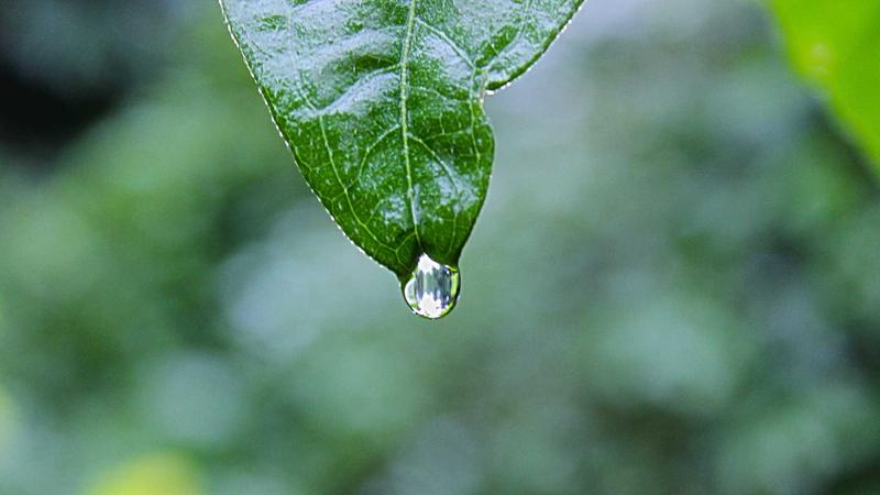 Featured image for Agntbox Com article