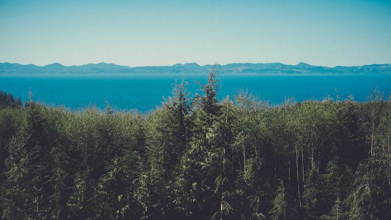 Featured image for Agntbox Com article