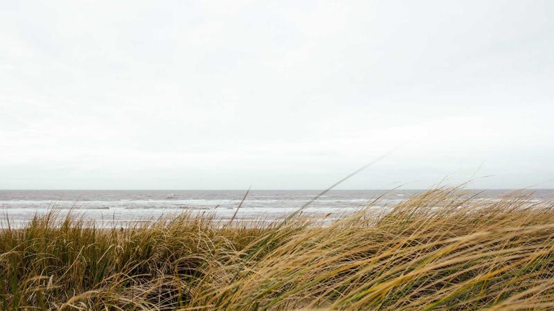 Featured image for Agntbox Com article