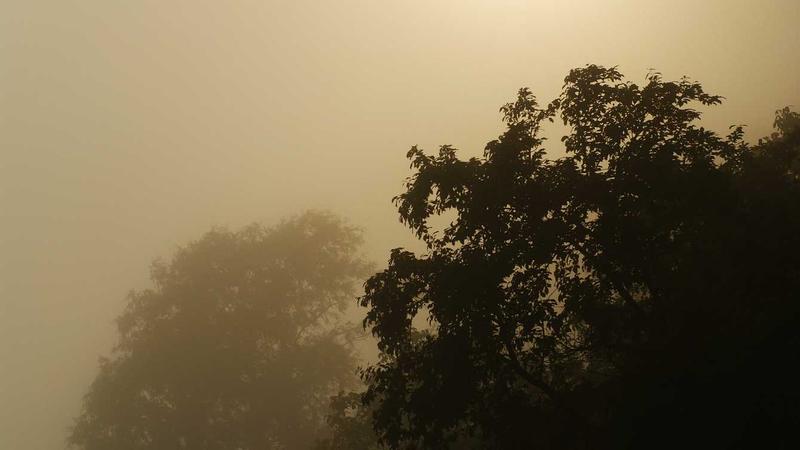 Featured image for Agntbox Com article