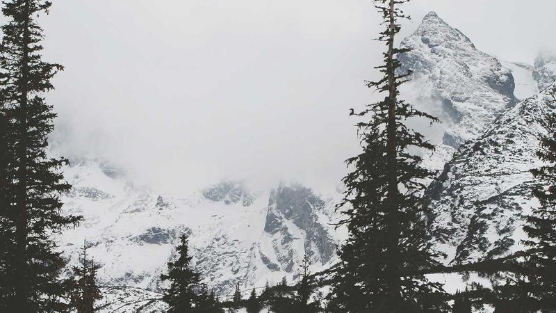 Featured image for Agntbox Com article