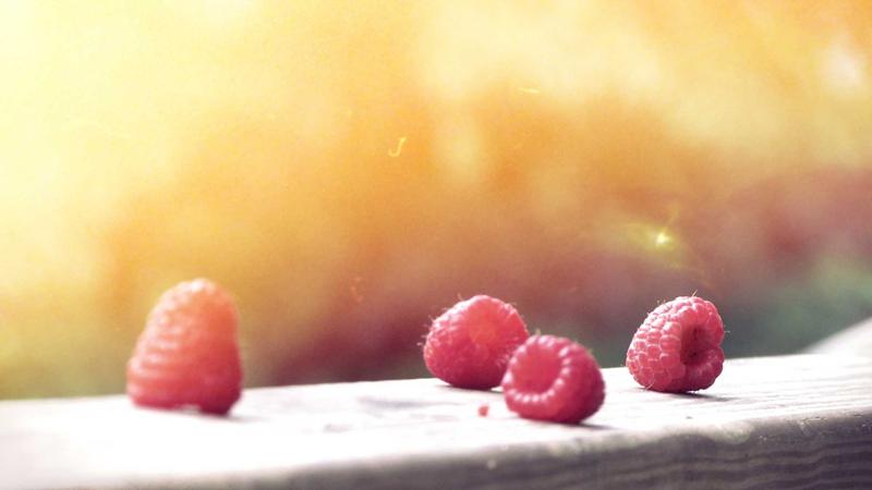 Featured image for Agntbox Com article